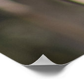 Red Winged Blackbird ポスター (角)