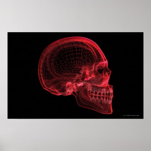 Red wireframe of a skull ポスター (正面)