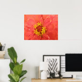 Red Zinnia Macro Print ポスター (ホームオフィス)