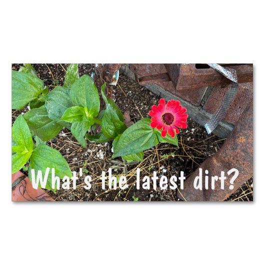 Red Zinnia with Rusty Objects Business Card マグネット名刺 (正面)