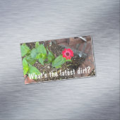 Red Zinnia with Rusty Objects Business Card マグネット名刺 (インサイチュ)