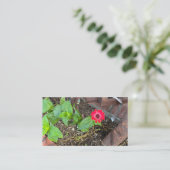 Red Zinnia with Rusty Objects Business Card 名刺 (スタンド正面)