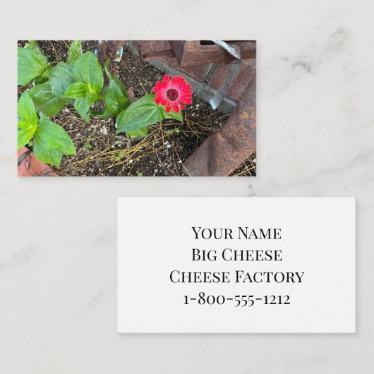Red Zinnia with Rusty Objects Business Card 名刺 (正面/裏面)