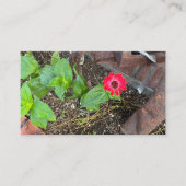 Red Zinnia with Rusty Objects Business Card 名刺 (正面)