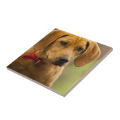 Redboneのあらいぐまのハウンドドッグの子犬 タイル (側面)