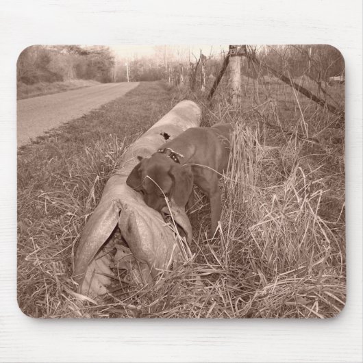 RedboneのCoonhoundのマウスパッド マウスパッド (正面)