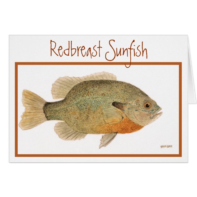 RedbreastのSunfishカード (正面横)