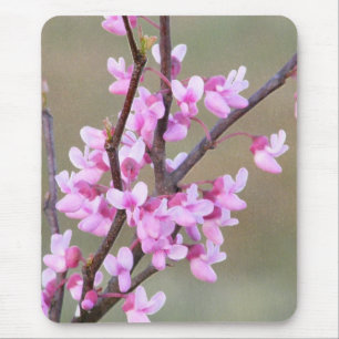 Redbudの開花 マウスパッド