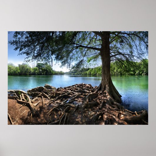 RedBud Isle on LadyBird Lakeの先端 – Austin TX ポスター (正面)