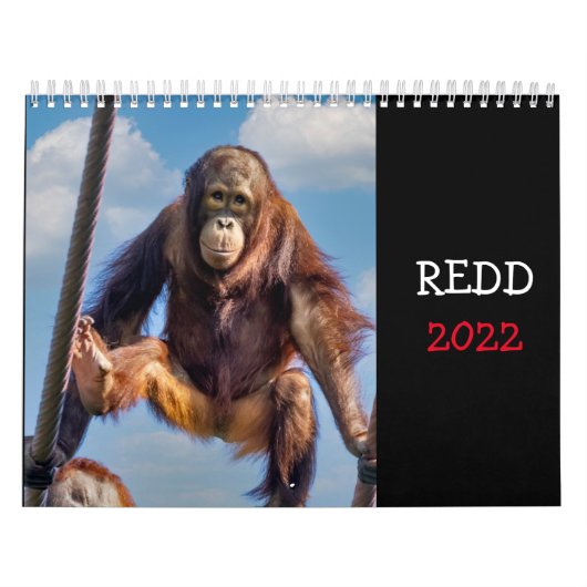 Redd 2022カレンダー カレンダー (カバー)
