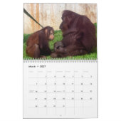 Redd 2022カレンダー カレンダー (3月 2027)