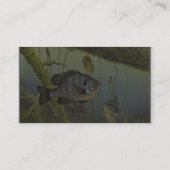 RedearのSunfish 名刺 (裏面)