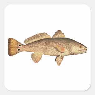 Redfishのロゴ スクエアシール