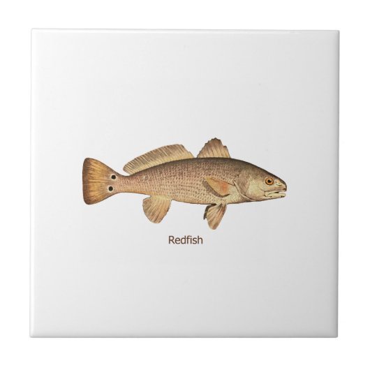 Redfishのロゴ タイル (正面)