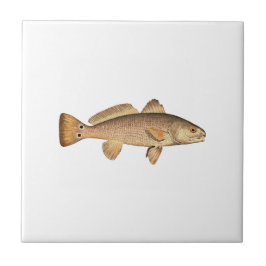 Redfishのロゴ タイル