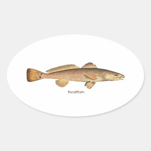 Redfishのロゴ 楕円形シール