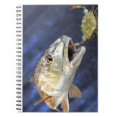 Redfishの殴打 ノートブック (正面)