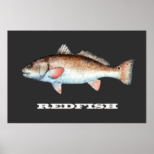 Redfishポスター ポスター