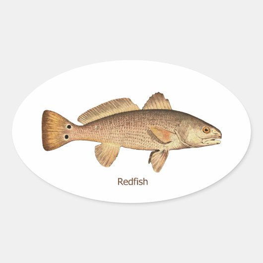 Redfishロゴ 楕円形シール (正面)