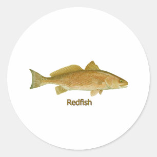 Redfish (タイトルを付けられる) ラウンドシール