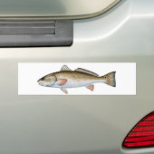 REDFISH バンパーステッカー (車上)