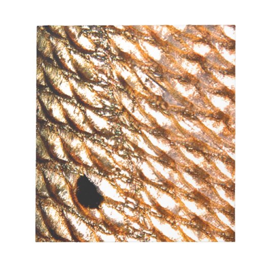 "Redfish" - PatternWearによる赤いドラム© ノートパッド (正面)