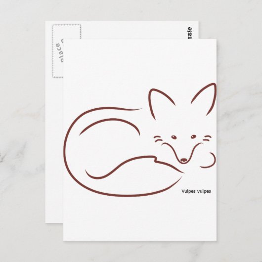 RedFox ポストカード (正面/裏面)