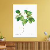 REDOUE "MAGNOLIA"ストレッチされたキャンバス印刷 キャンバスプリント (インサイチュ (リビング))