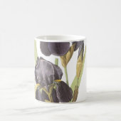 Redouneの髭の虹彩(アイリス・ゲルマニカ) コーヒーマグカップ (中央)