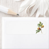 Redoune著fig(Ficus violacea) ラベル (インサイチュ)