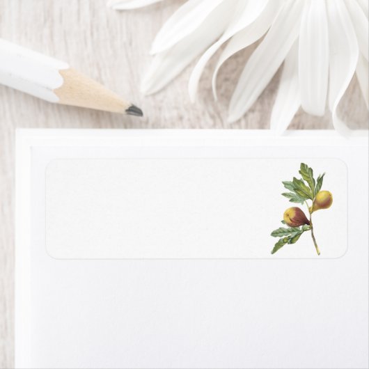 Redoune著fig(Ficus violacea) ラベル (インサイチュ)