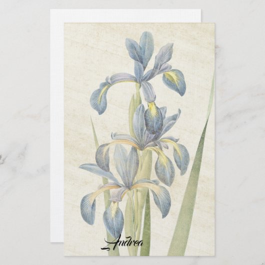 Redouteのアイリスによっては葉のライスペーパーの文房具が開花します 便箋 (正面/裏面)