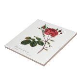 Redouteのバラの白いセラミックタイル タイル (側面)