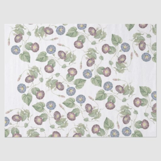 Redouteの朝顔によってはティッシュペーパーが開花します 薄葉紙 (正面)