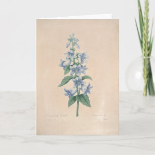 Redouteの植物の悔やみや弔慰カードによるCampanula サンキューカード