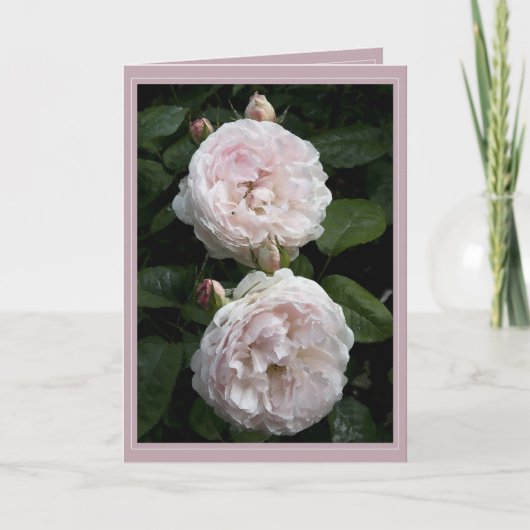 RedouteカードII カード (正面)