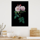 Redouteブラック背景ポスターのピンクのバラ ポスター (キッチン)