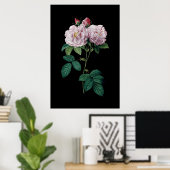 Redouteブラック背景ポスターのピンクのバラ ポスター (ホームオフィス)