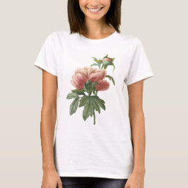 Redouté著シャクヤク(Paeonia sp。) Tシャツ