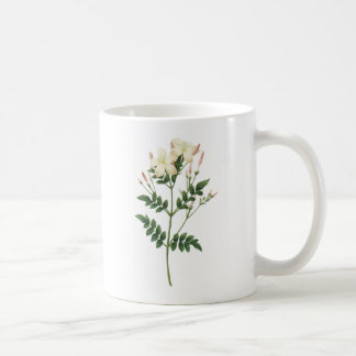 Redouté著ジャスミン(Jasminumのgrandiflorum) コーヒーマグカップ