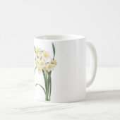 Redouté著スイセン(スイセンのtazetta) コーヒーマグカップ (正面右)