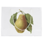 Redouté著ナシ(Pyrus sp。) ラージペーパーバッグ (裏面)