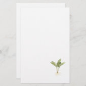 Redouté著ユリの谷(スズランのmajalis) 便箋 (正面/裏面)