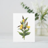 Redouté著女性のスリッパ(アツモリソウsp。) ポストカード (スタンド正面)