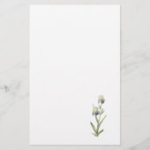 Redouté著年長者の香りがするアイリス(アイリスsambucina) 便箋 (正面)