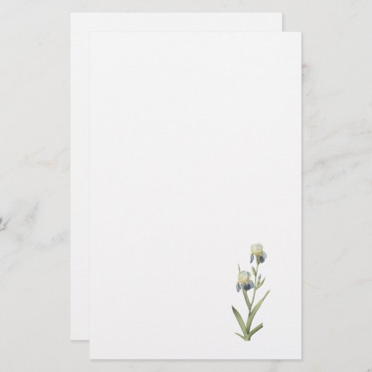 Redouté著年長者の香りがするアイリス(アイリスsambucina) 便箋 (正面/裏面)