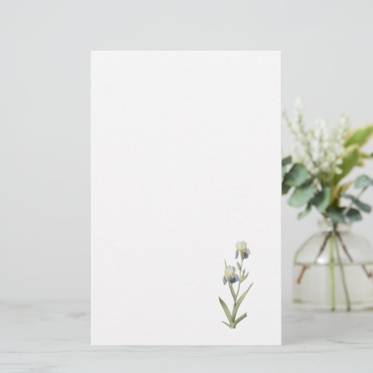 Redouté著年長者の香りがするアイリス(アイリスsambucina) 便箋 (スタンド正面)