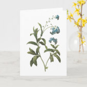 Redouté著忘れ私ない(Myosotisのscorpioides) カード (黄色い花)