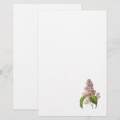 Redouté著薄紫(Syringa sp。) 便箋 (正面/裏面)
