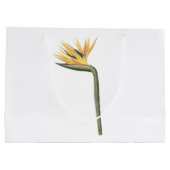 Redouté著鳥の楽園(ゴクラクチョウカ属のreginae) ラージペーパーバッグ (裏面)